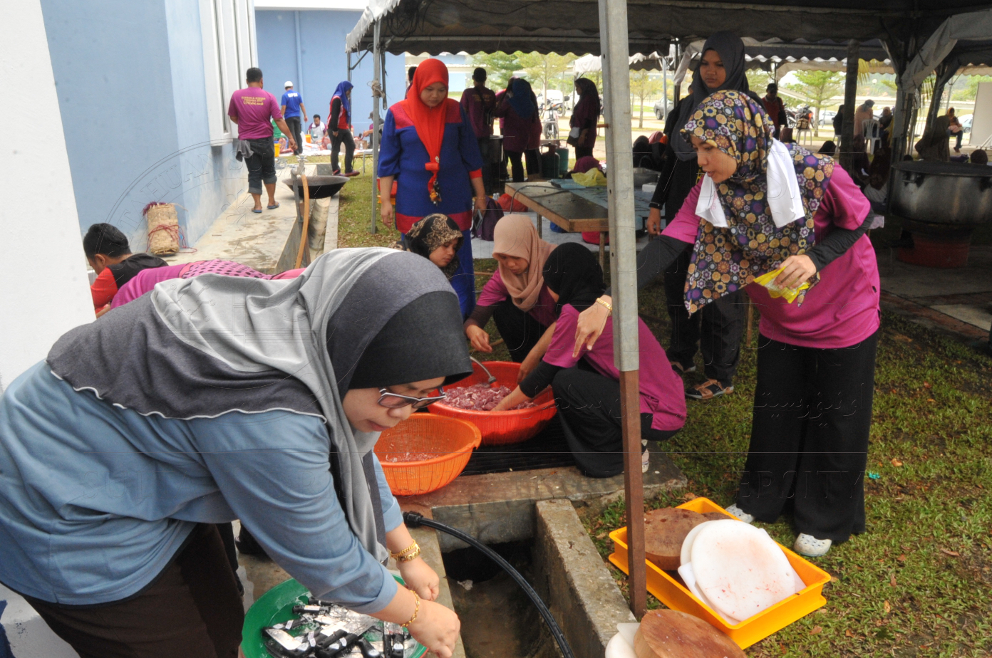 PRO15 150 KORBAN HAS 6992